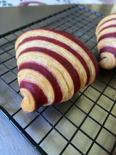 croissant bicolore rosso