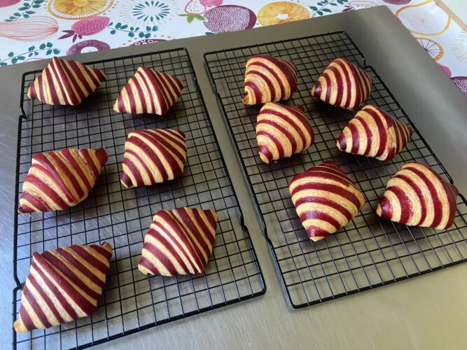 croissant bicolore rosso
