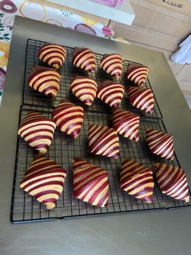 croissant bicolore rosso