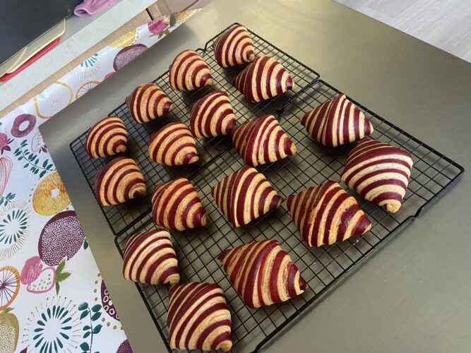 croissant bicolore rosso