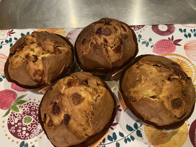 panettone cappuccetto rosso (1)