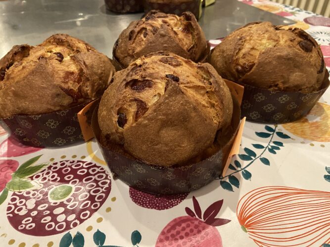 panettone cappuccetto rosso (2)