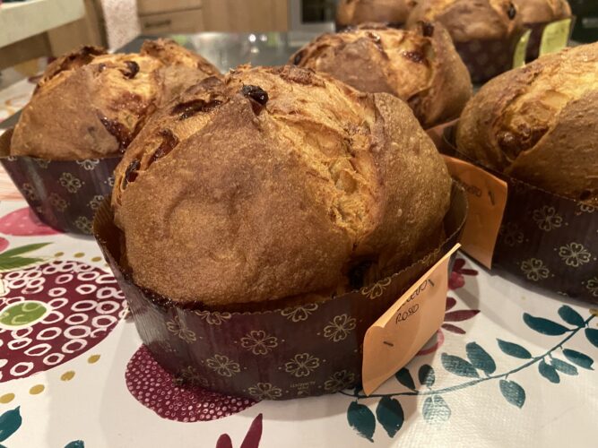 panettone cappuccetto rosso (4)