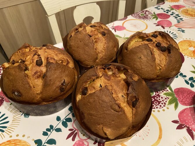 panettone ciokoarancia (3)