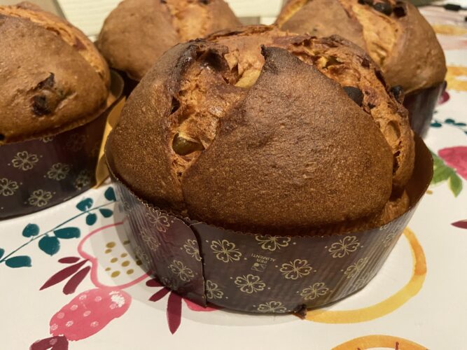 PANETTONE CIOKO ARANCIA 2024