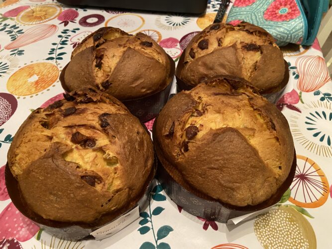 panettone fichissimo (1)