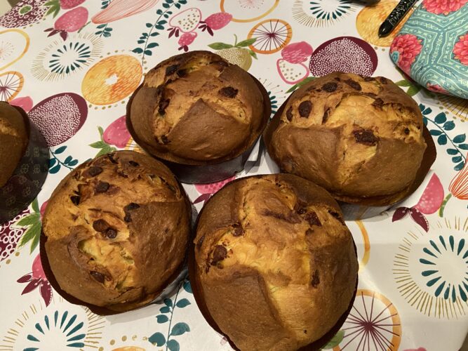 panettone fichissimo (2)