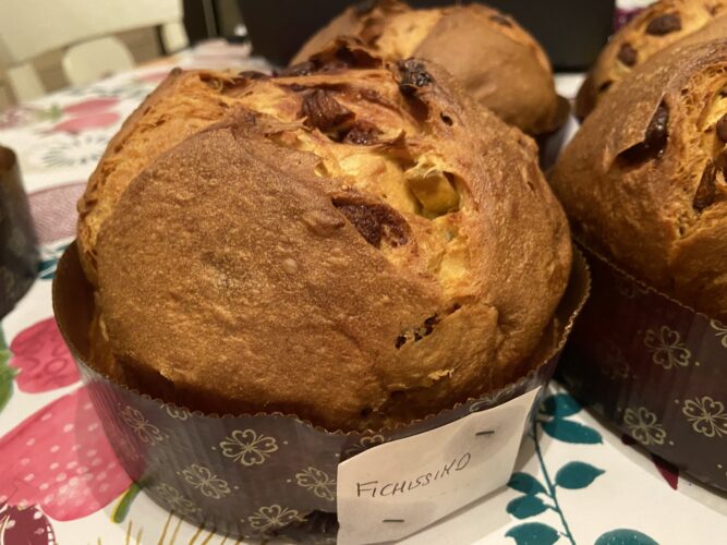 panettone fichissimo (3)