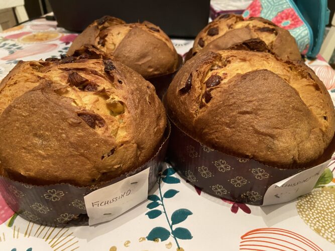 panettone fichissimo (5)