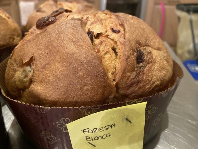 panettone foresta bianca (1)