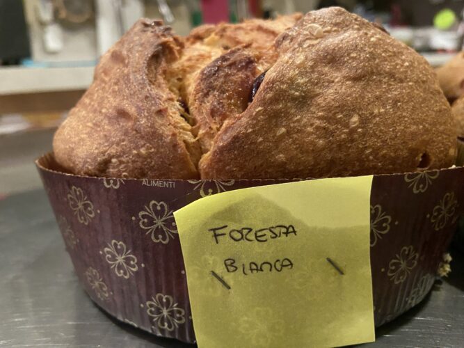 panettone foresta bianca (3)