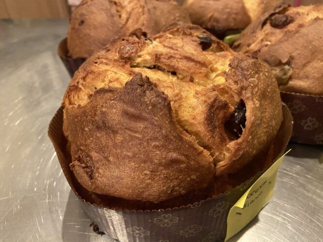 panettone foresta bianca (5)