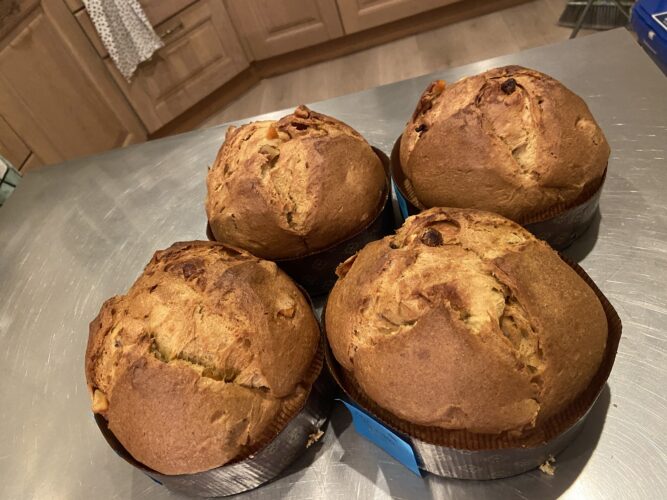 panettone panspeziato (1)