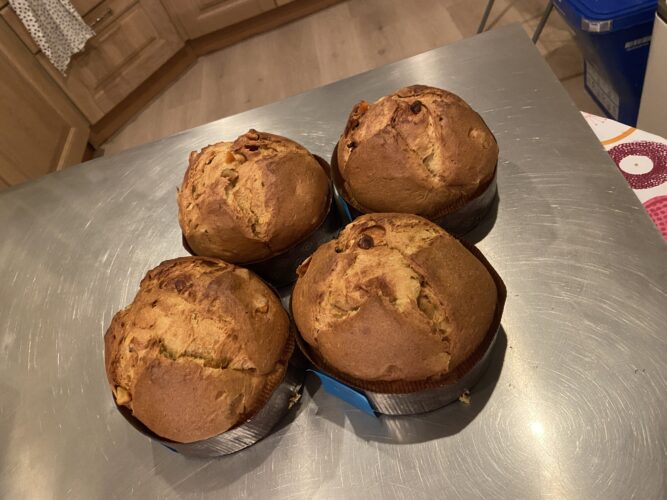 panettone panspeziato (3)