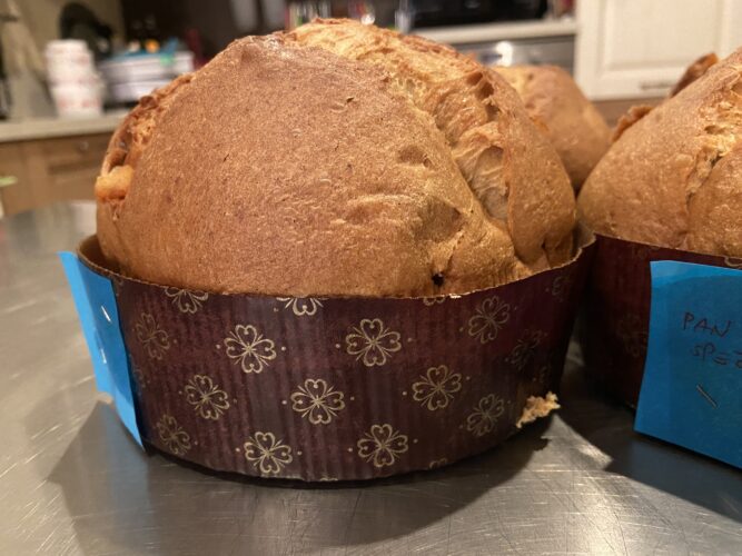 panettone panspeziato (4)