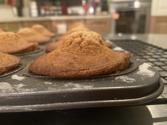 madeleine pan di spezie