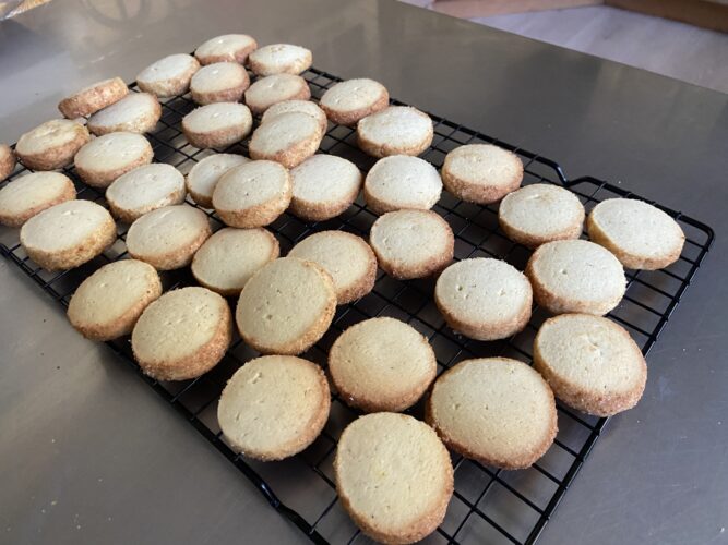 biscotti diamantini nocciolini