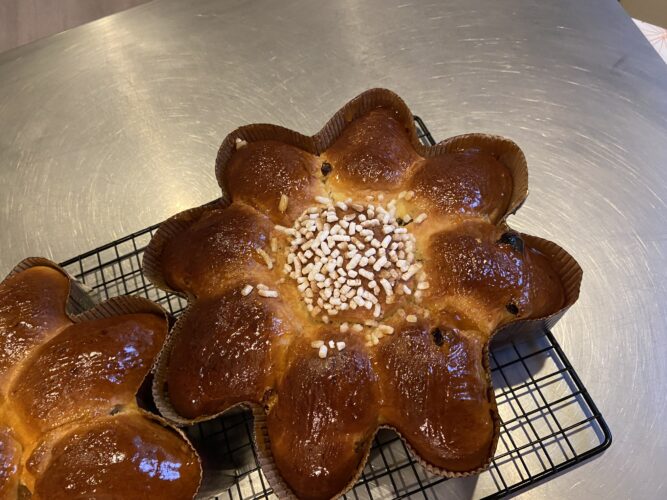 fiore brioche uvetta
