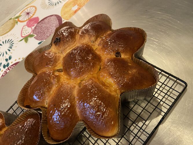 fiore brioche uvetta