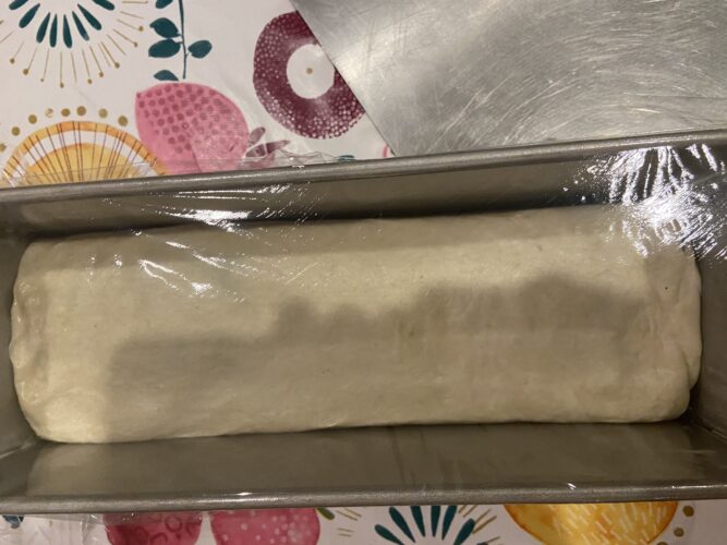 pane cassetta alga spirulina
