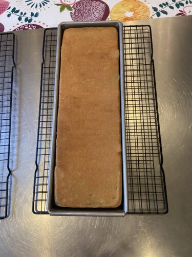 pane cassetta alga spirulina