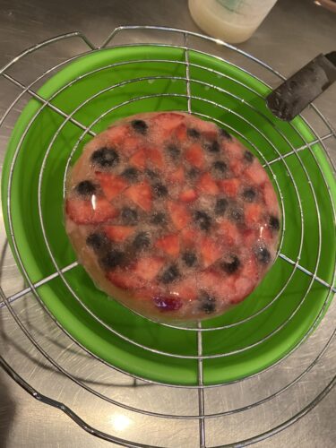 tart frutta congelamento