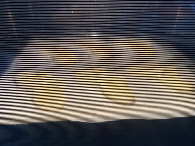 farfalle sfoglia