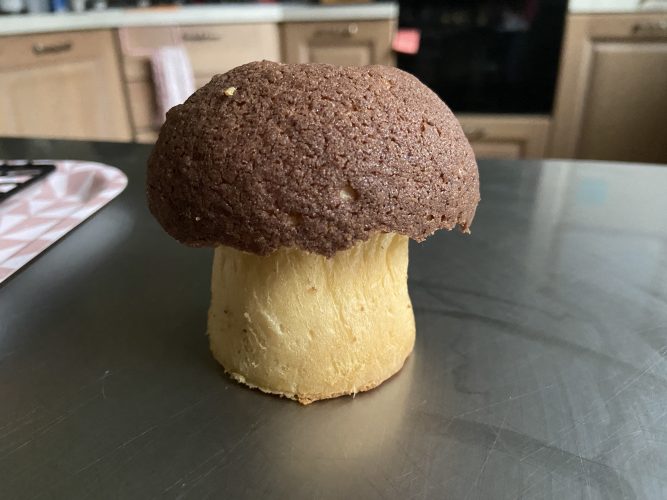 brioche funghetto