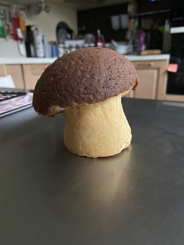 brioche funghetto