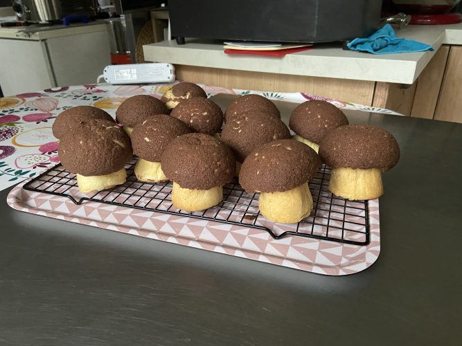 brioche funghetto