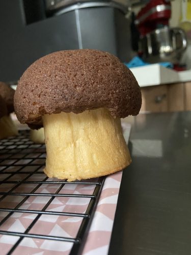 brioche funghetto