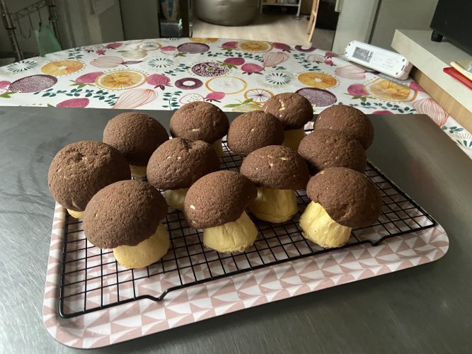 brioche funghetto