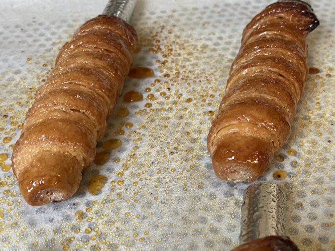 cannoncini