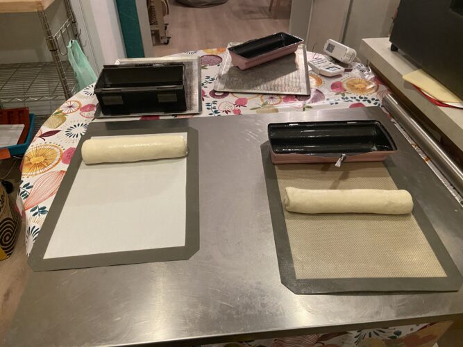 pane cassetta toast gatto fiore