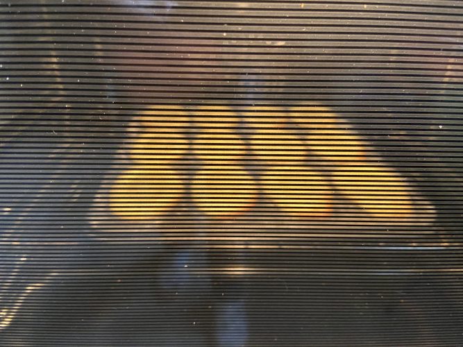 madeleine pistacchio
