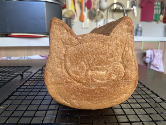 pane cassetta gatto fiore