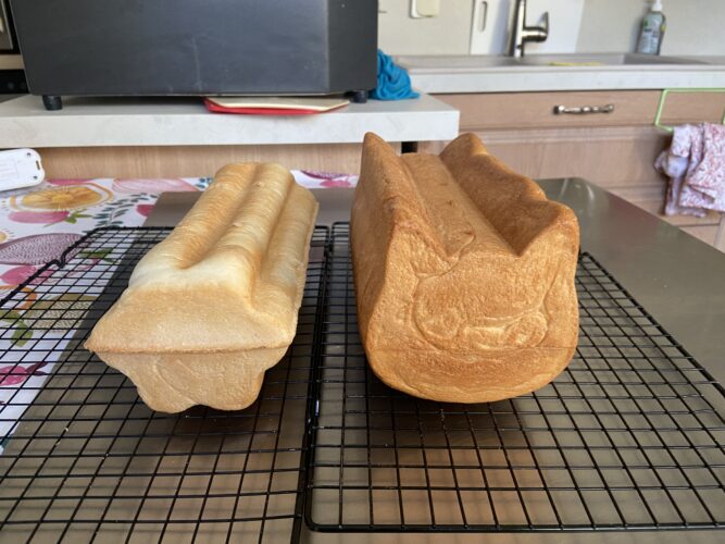 pane cassetta gatto fiore