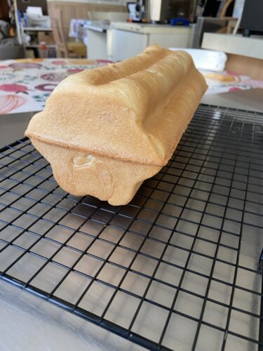pane cassetta gatto fiore
