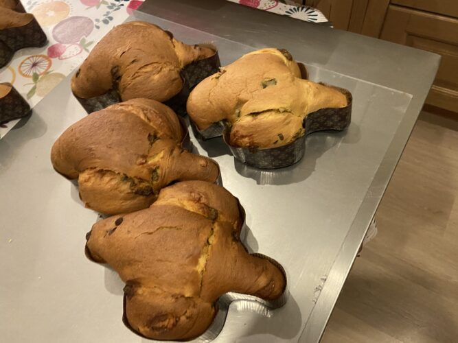 colomba arancia fondente