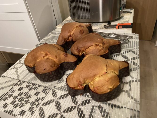colomba limone fragola