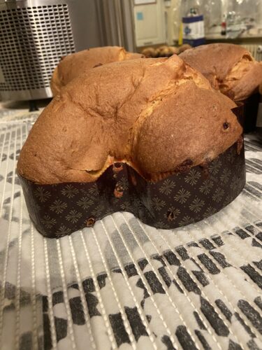 colomba limone fragola