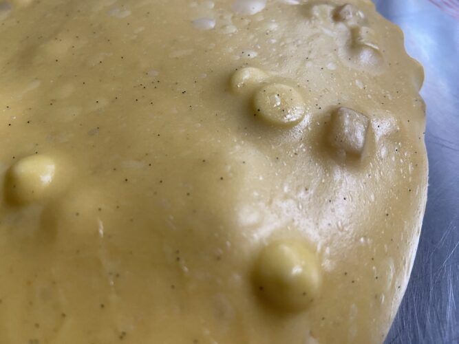 colomba pera bianco