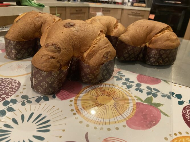 colomba pera bianco