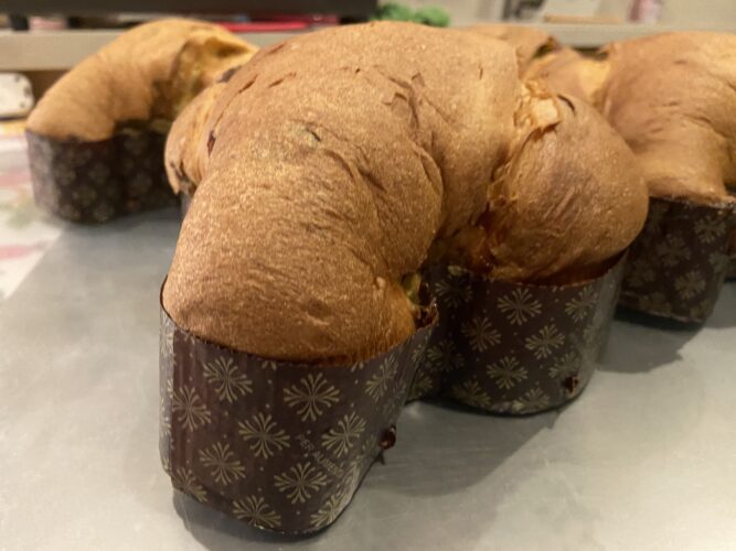 colomba pistacchio lampone
