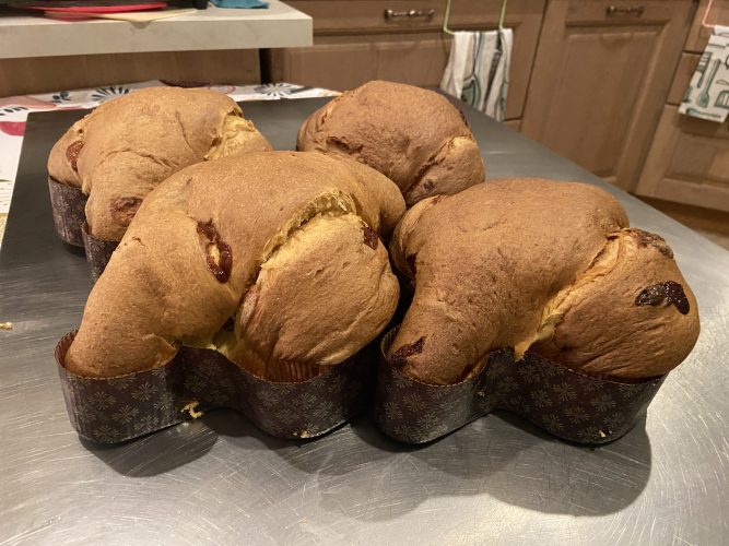 colomba fragola bianco