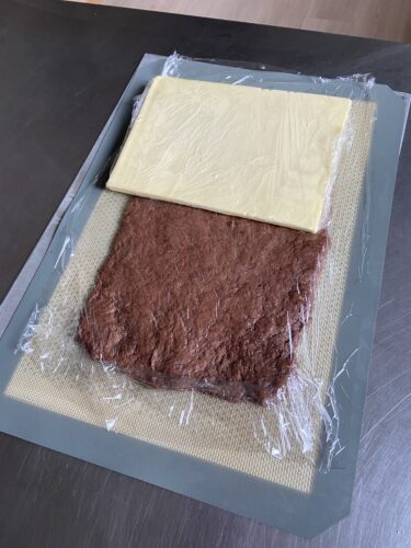 farfalle sfoglia bicolore
