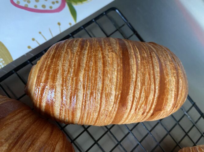 saccottini rigati cioccolato