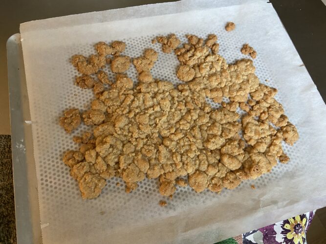 cocco bon