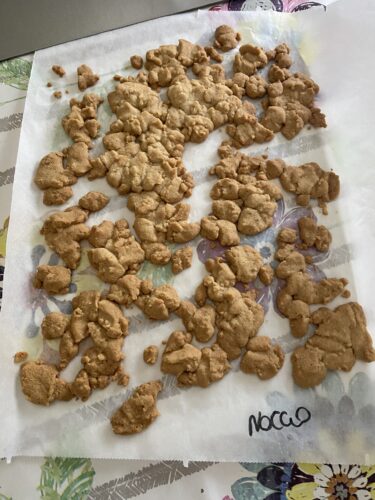 gelato nocciola crumble