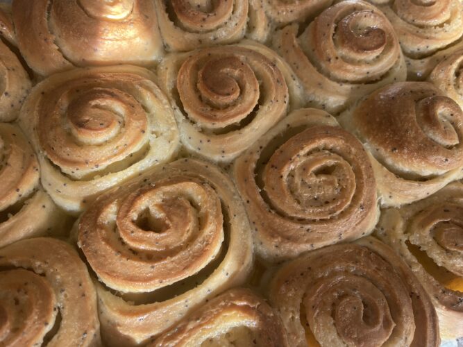 lemon poppy seed buns